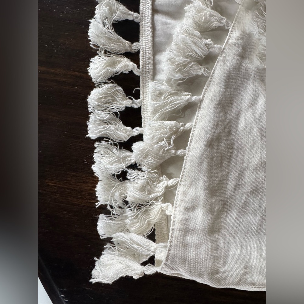 Vici Asymmetrical Tassel Skirt size medium - Picture 5 of 9